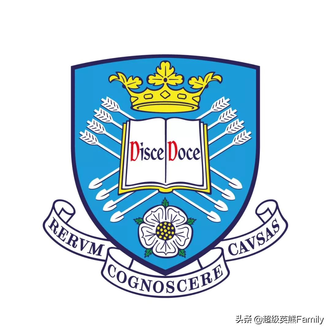 英国金史密斯学校怎么样,英国金史密斯学院纯艺术