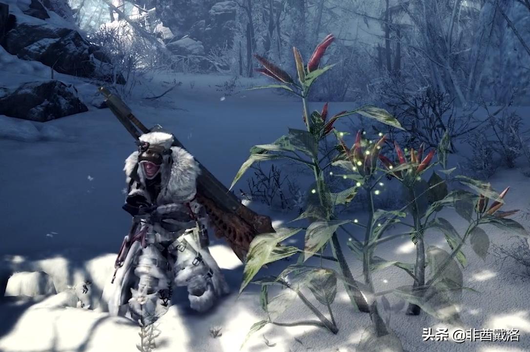 怪物猎人世界dlc雪原,怪物猎人世界冰原dlc深度测评