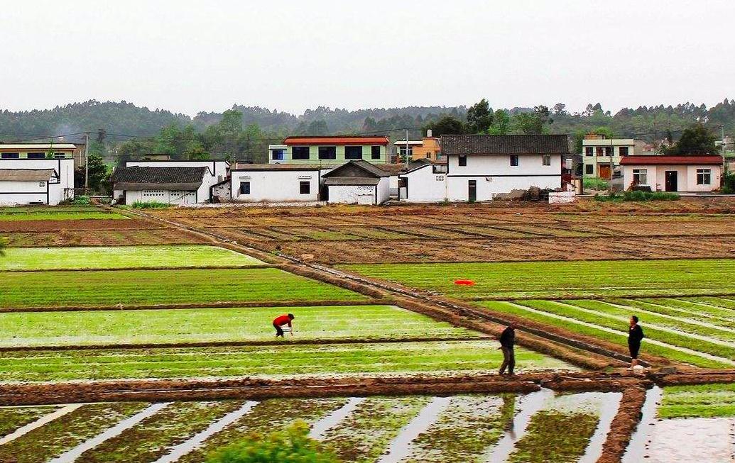 老话讲，“农村不作颠，街上不冒烟”，认识农村的重要性