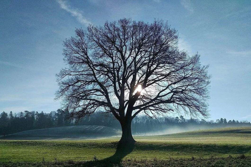 合适老人的音乐相册,合适90岁老人的音乐相册