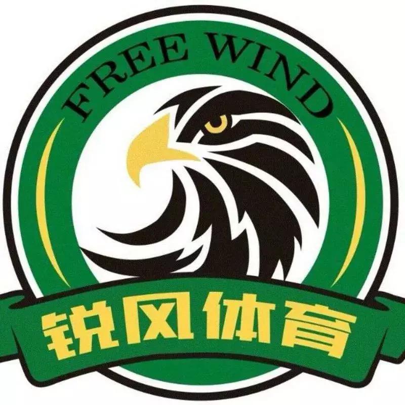 福山足球小将,最强青少年足球小将