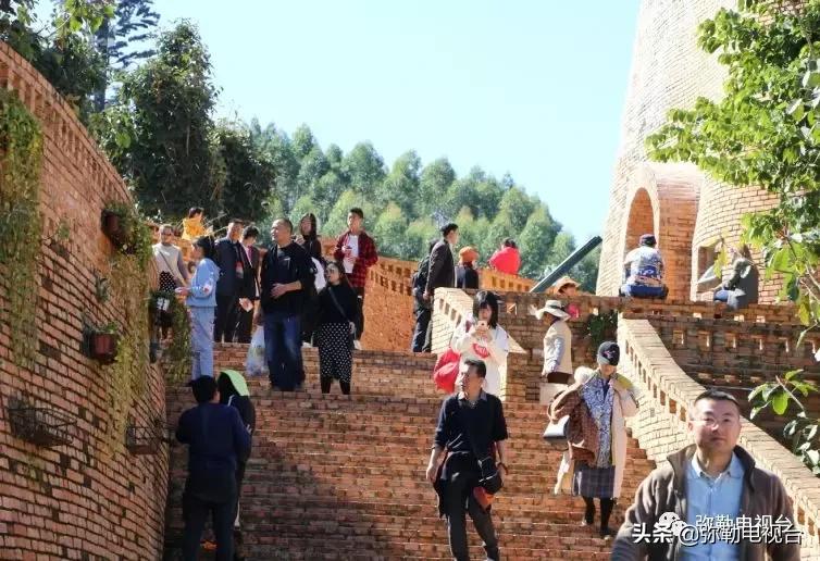 太热闹！弥勒花海、人海、车海、舞海...这些人上镜了！