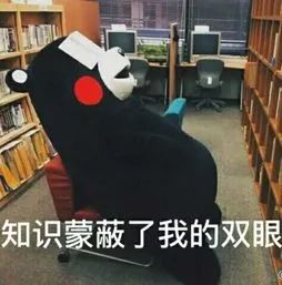 罗辑思维提供的是什么样的服务