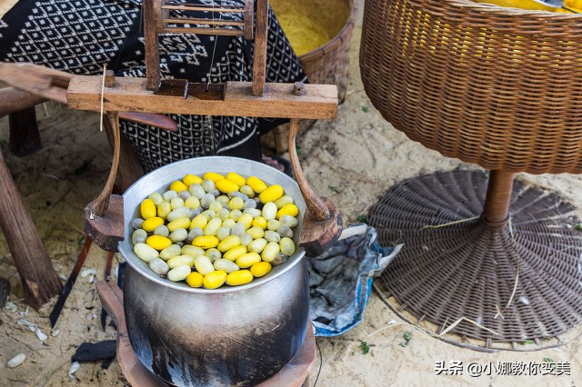 桑蚕丝面料的优缺点,桑蚕丝与棉混纺t恤的优缺点