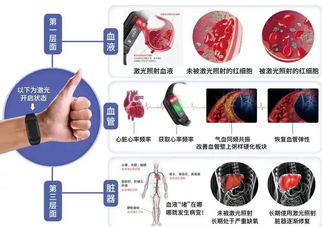 夏季治疗心脑血管病的优势,心脑血管疾病夏季养生
