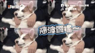 炬华科技：360的华丽外衣难掩一颗英勇减持的心