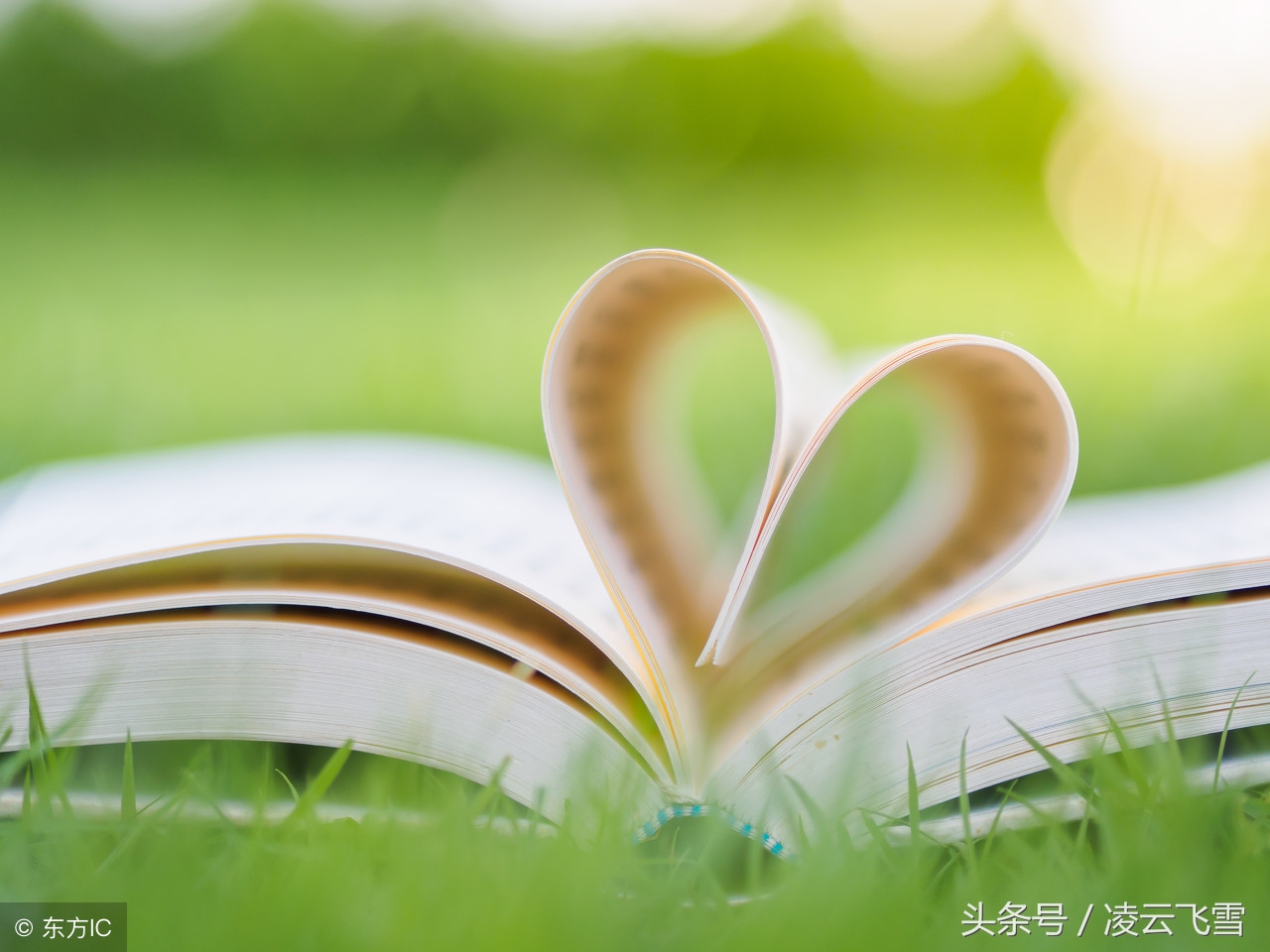 带有杨柳的诗100首,关于杨柳的古诗有哪些