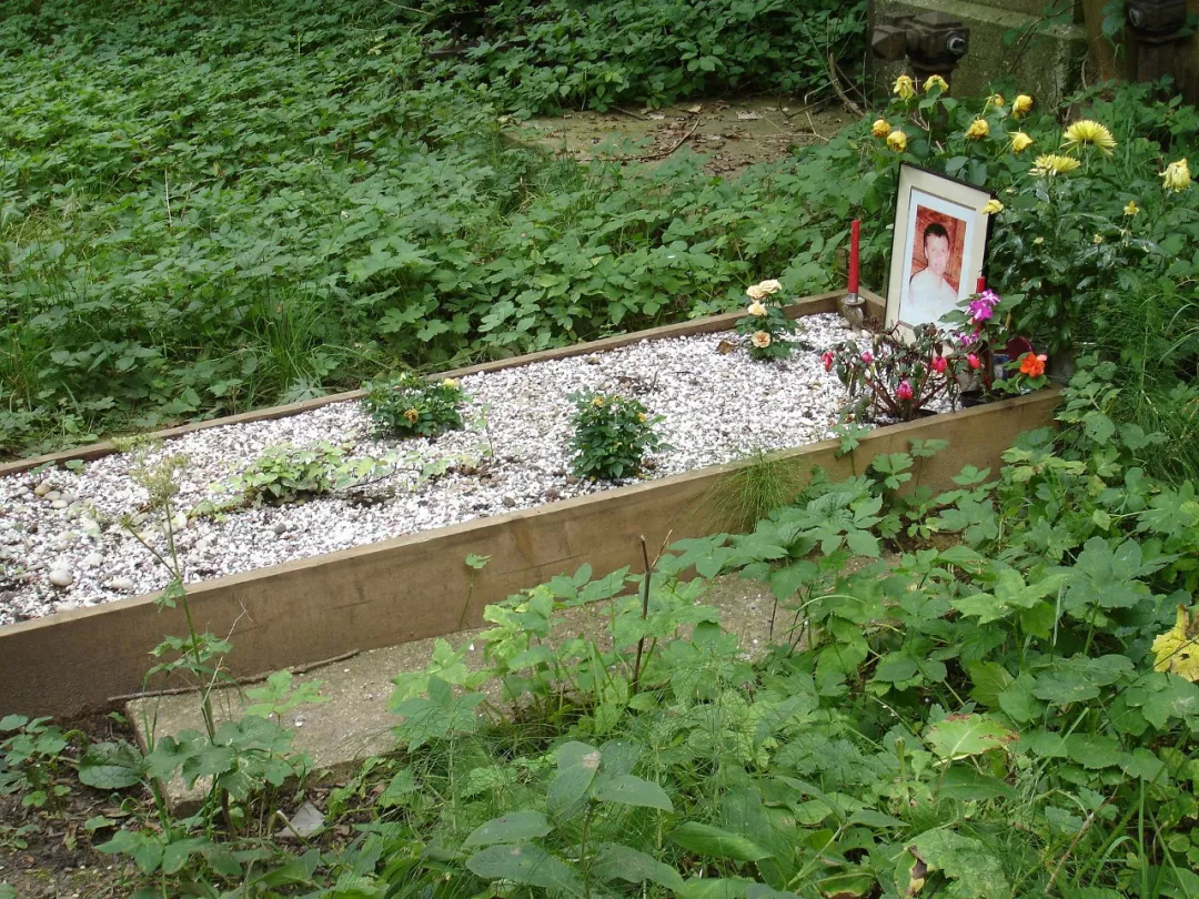 为何总有俄罗斯异见分子被毒死在英国