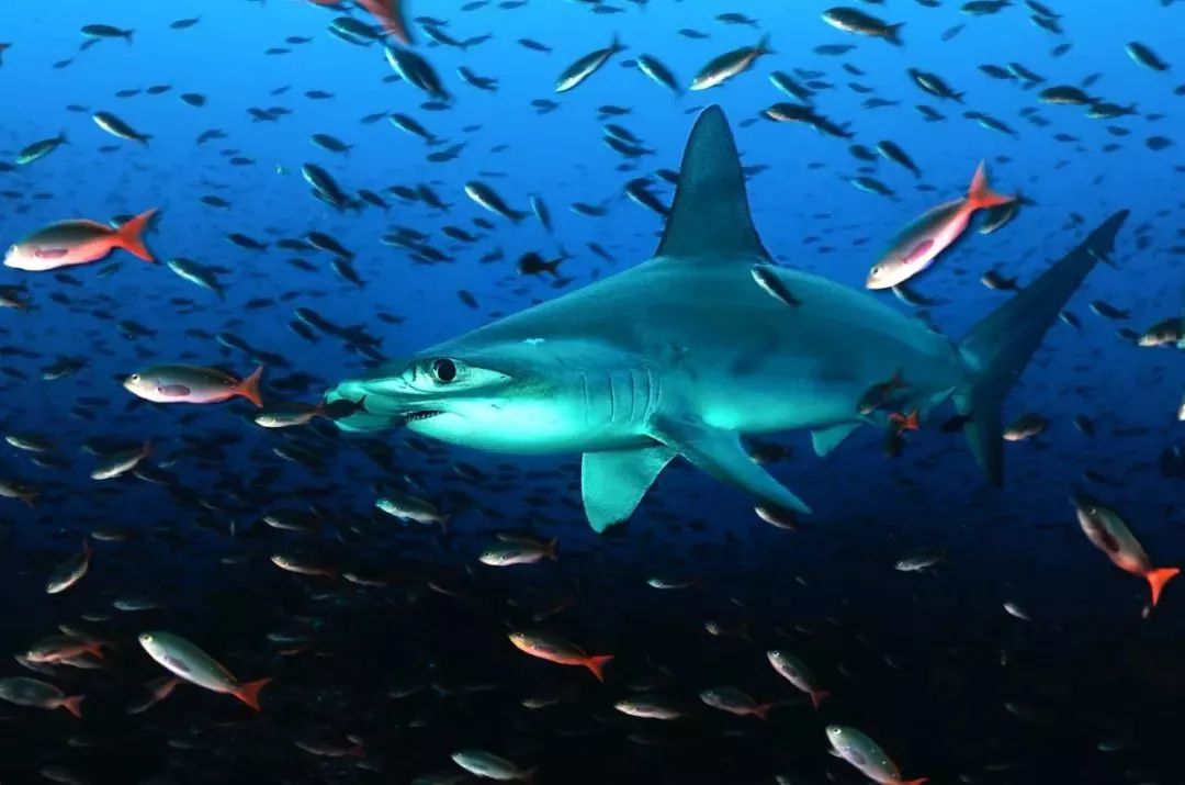 30种在地球“浪”的方式，做过10件，算你牛！