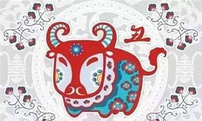风水三忌十二生肖图解,十二生肖风水开运图表大全
