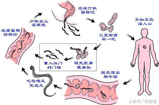 宝宝夜间哭闹不止还伴有肛门瘙痒，或是1种寄生虫在作怪
