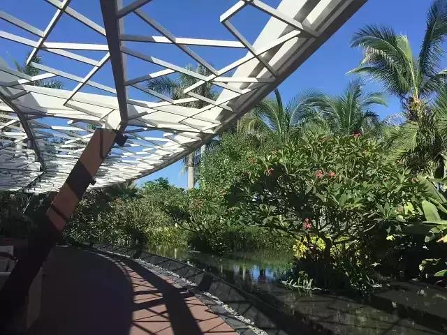在海棠湾能够送哪些礼物,三亚值得给孩子带的礼物