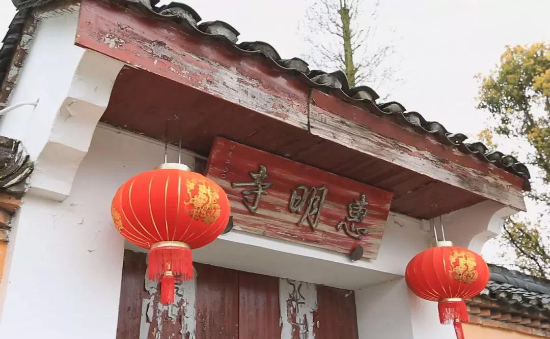 正宗金奖惠明茶,明前金奖惠明的贡茶