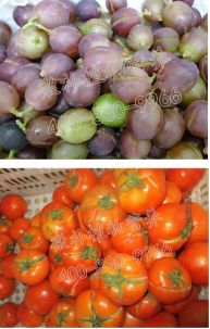 余教授讲座完全视频,余教授工艺大讲堂