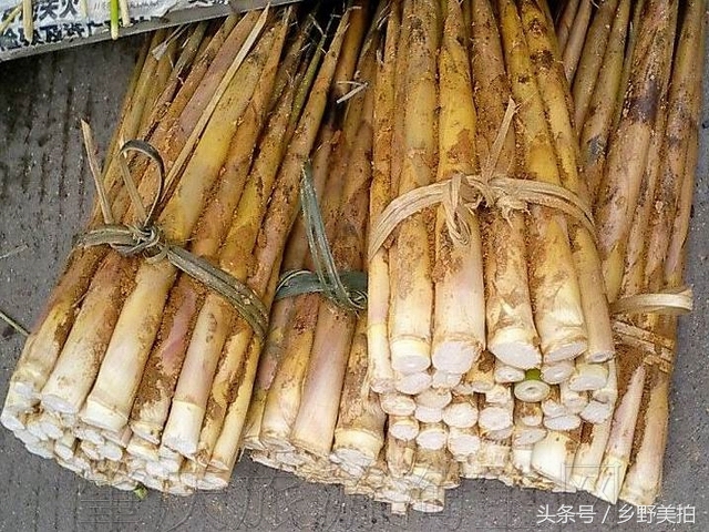 春天，原来竹笋还能够这么吃，广西酿菜：竹笋酿