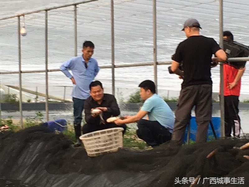 中央电视台致富经栏目怎么样,cctv17中央电视台《致富经》
