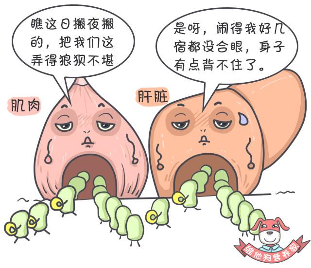 27万胖子用光吃不动的方法减了肥，你也一定想来试试