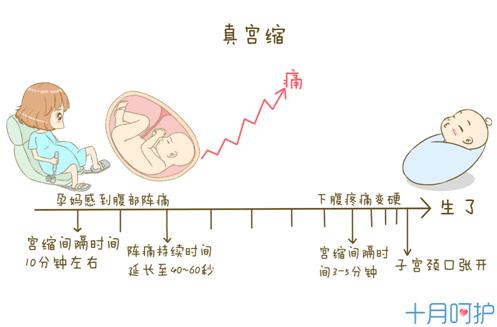 “孕晚期”的经验分享帖，孕妈们赶紧来看看吧！