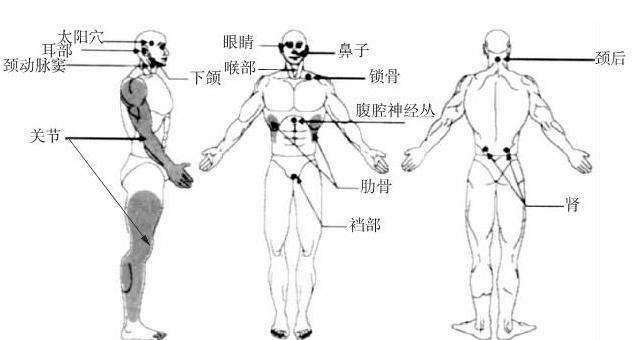 武术攻击要害,传统武术只打要害