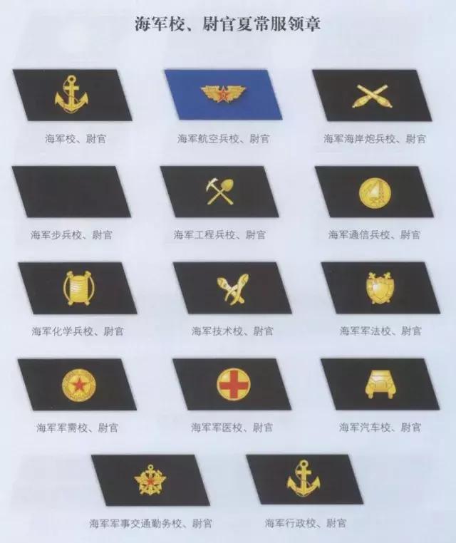 中国海军部队标志,海军所有等级和标徽