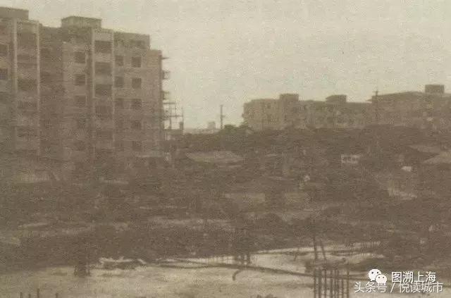 悦读城市,悦读城市完全版