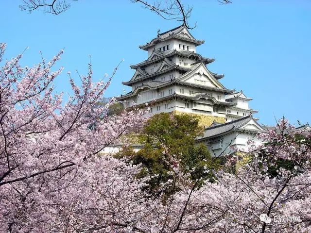 吓尿！日本化妆品祭“限购”大招！——便宜机票惹的祸