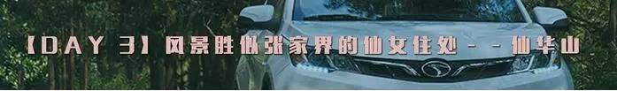 东南dx3自驾游,江浙寻花事