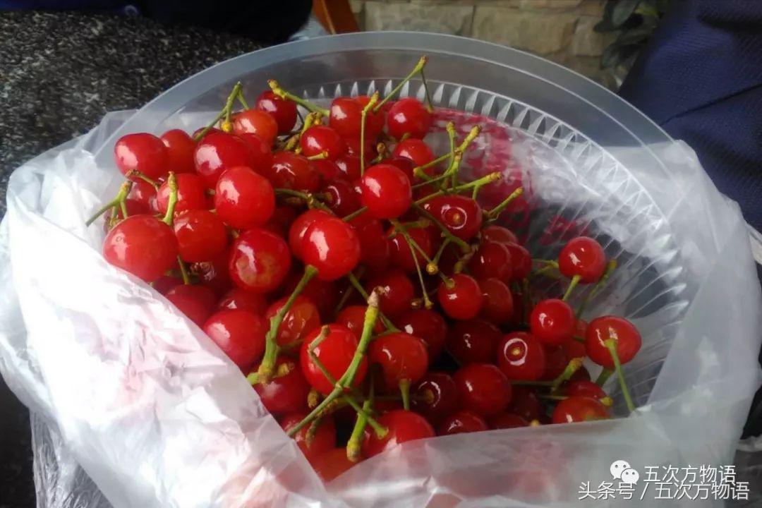 车厘子几月份成熟,车厘子的营养价值与功能