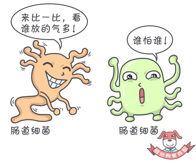 肚子胀气屁大,肚子胀气屁多吃点啥药