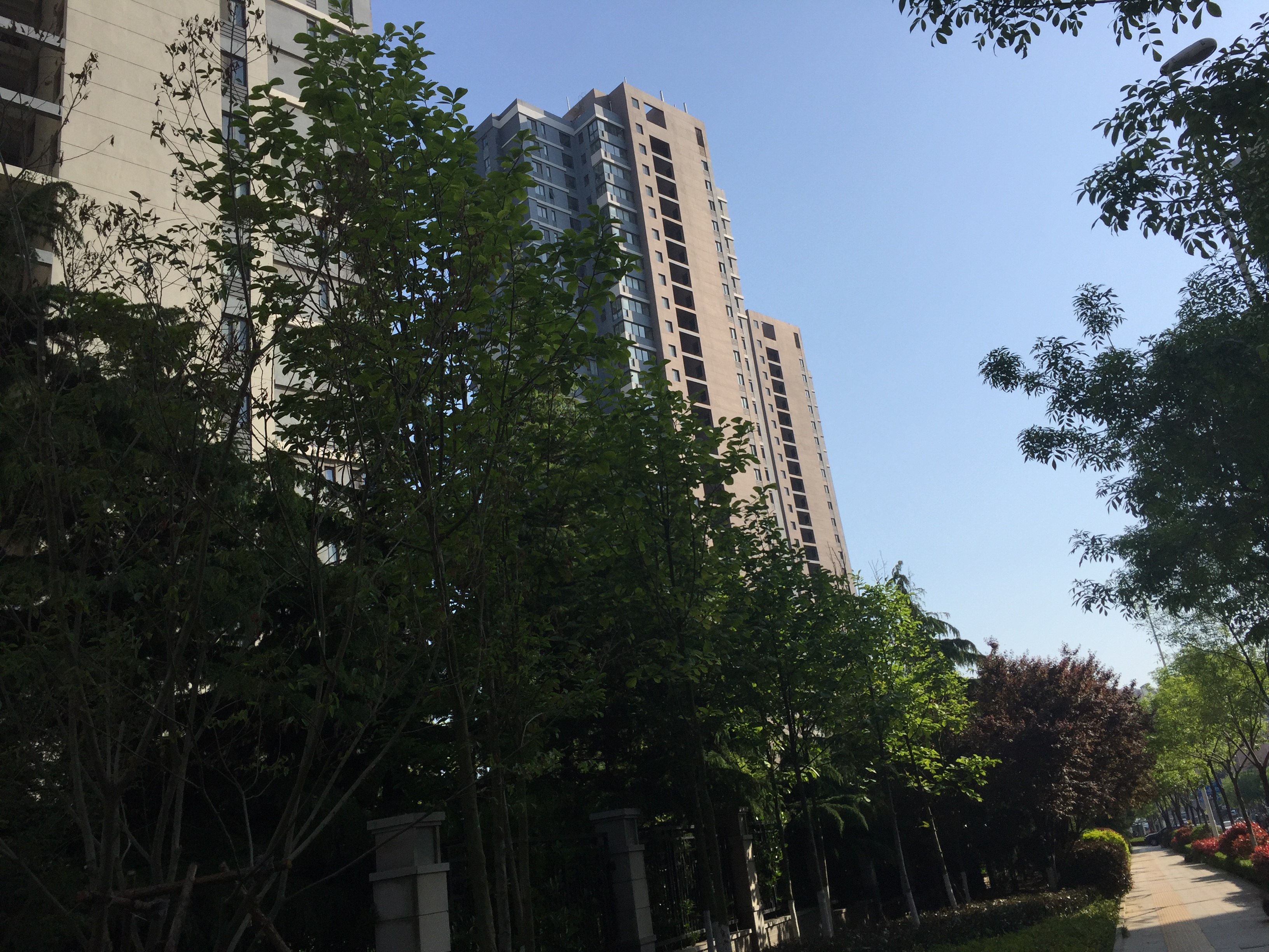 青岛崂山区麦岛金岸,青岛沿海房产