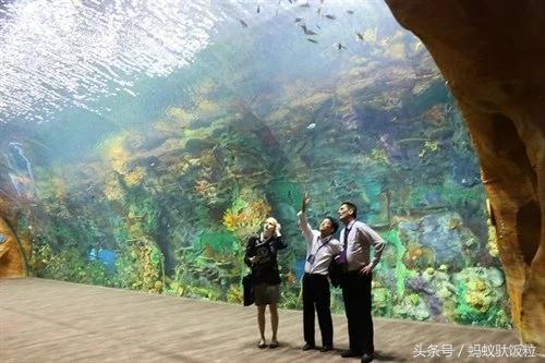 了解世界的巨大变化,见识一下世界开阔一下眼界