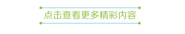 走进荷兰“花花世界”，五大赏花攻略总有一款合适您！骑行/直升机，逛花园花田，跟着花农的脚步走过这个春天
