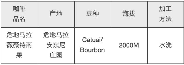 20岁咖啡小鲜肉告诉你一款薇薇特南果还能够这样玩｜凡仕
