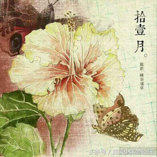 属狗的城头土命人的一生运程如何,十二生肖之戌狗性格和人生运势