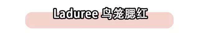 五月爱用物,五月爱用物分享价格