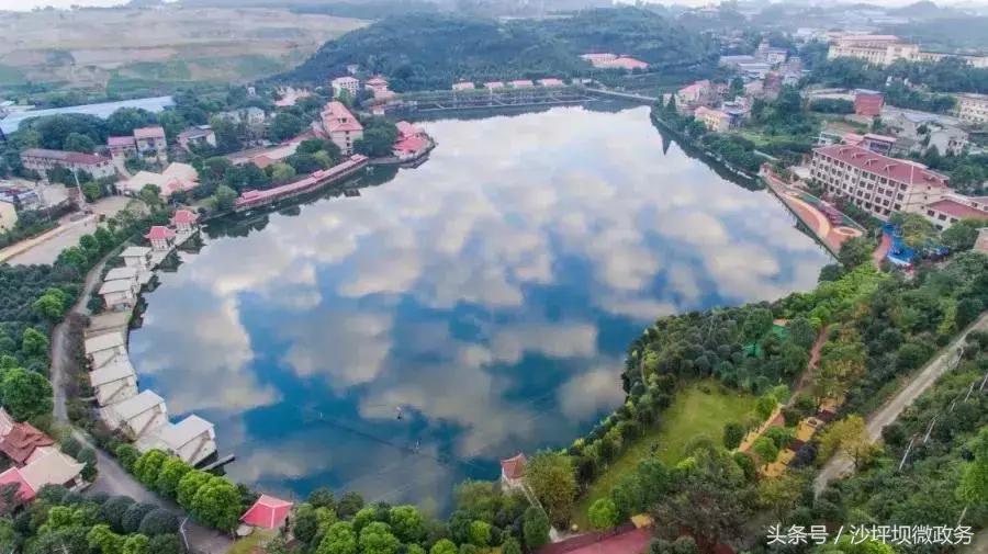 粉黛乱子草网红打卡地重庆沙坪坝,重庆沙坪坝小众冷门景点打卡