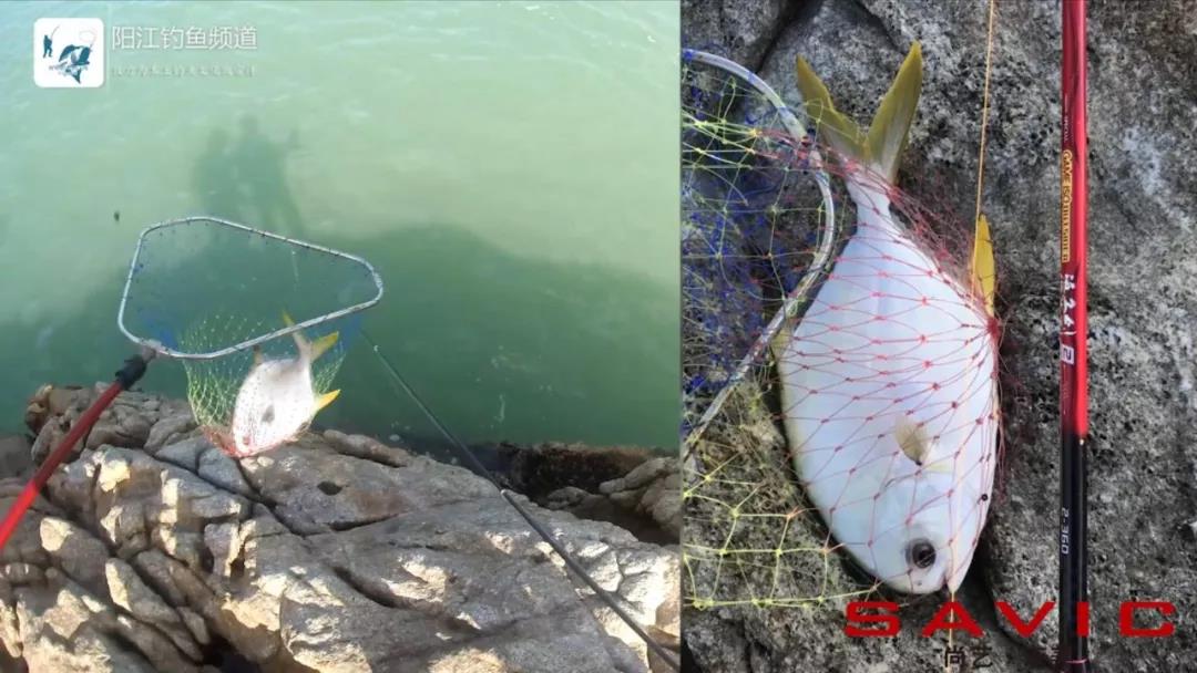 台山漭洲岛海钓,台山漭洲岛游玩攻略