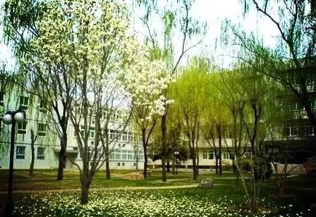中国最小大学，是*安门天**广场的1/8，全校都是熟人，小规模大视野