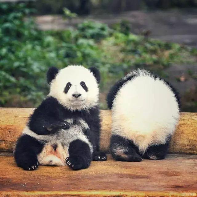代购骗局揭秘朋友圈,代购背后的骗局