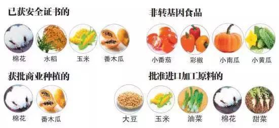 教你如何在日常生活中避开转基因,转基因有哪些误区