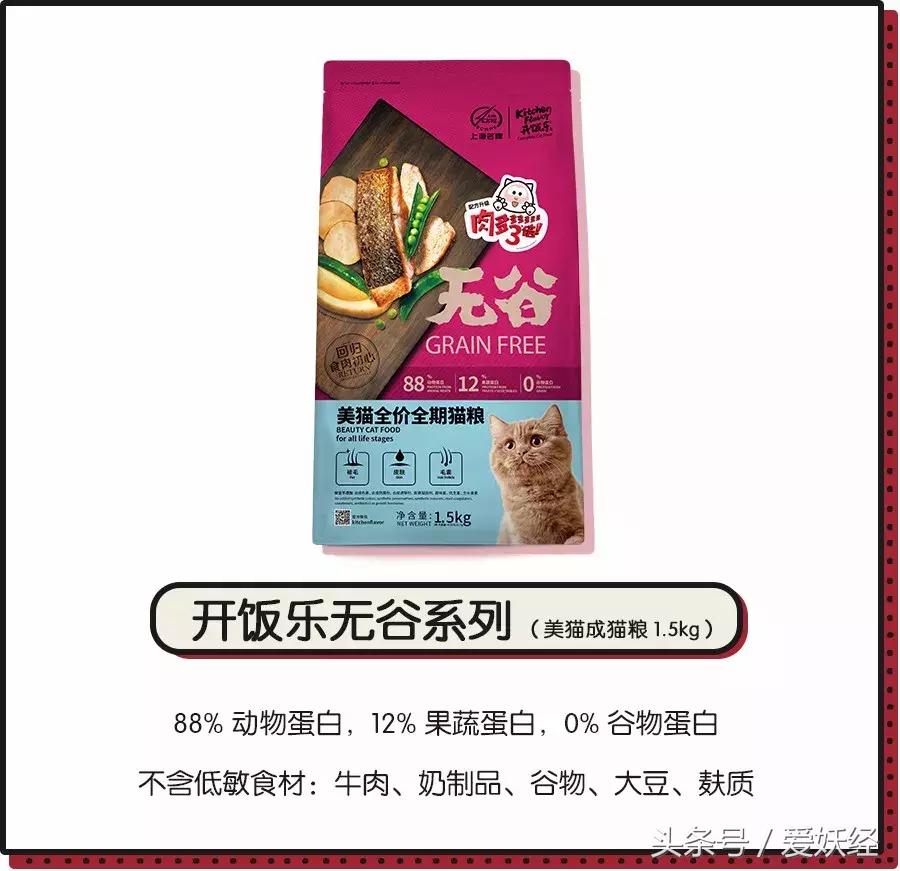 爱妖经大社区众测No.6｜一份不一样的主粮能让你的毛球活力一整天