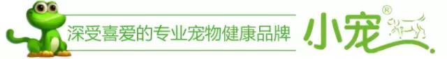 关于猫咪的趣味冷知识,关于猫咪的10个冷知识你知道几个