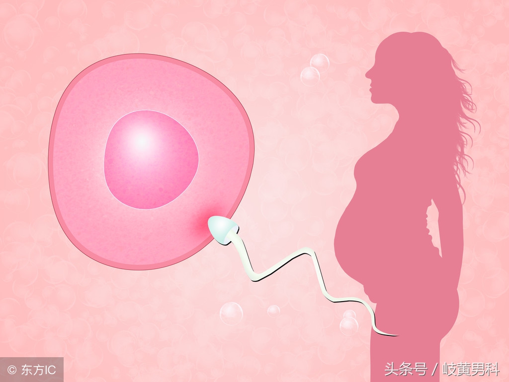 备孕不走弯路这三招就够了,备孕不难这些备孕诀窍是要害