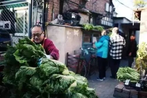 当代人的第十三个属相：松鼠