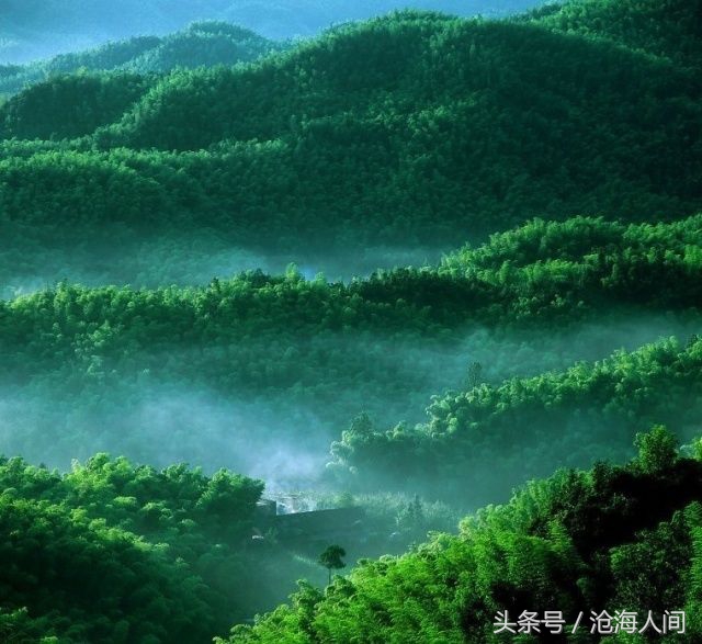 卧虎藏龙背景音乐古典音乐,卧虎藏龙竹林背景音乐