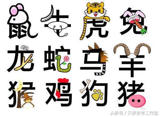 生肖冲生辰八字和什么有关,十二生肖冲刑破害详解