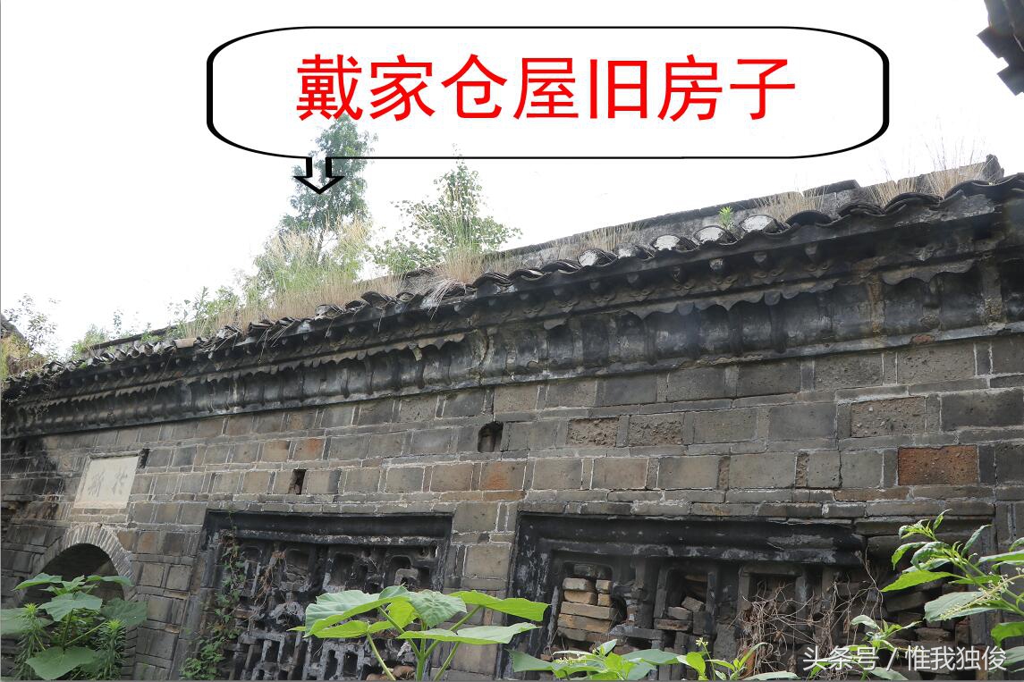 随州太白顶风景区简介视频,发现之旅神农架野人之谜