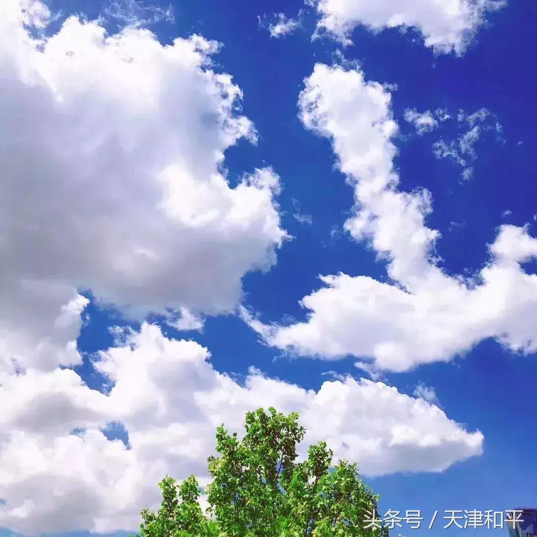 这诗情画意的和平“蓝”，你见到了吗？