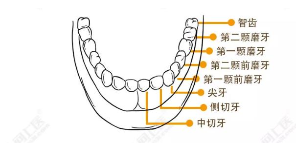 智齿痛得特别厉害怎么办,智齿痛得厉害怎么缓解