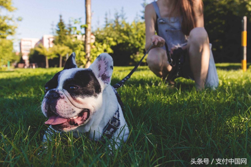 vetements品牌杭州,vetworthy鱼油